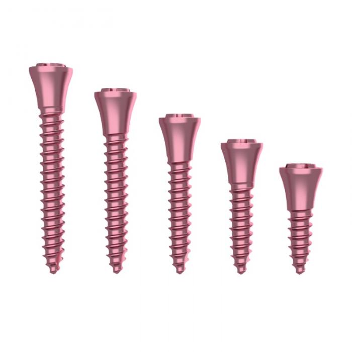 GBR Suportang Screw